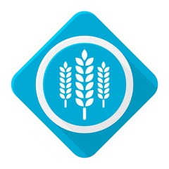Blue icon wheat with long shadow