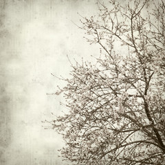 textured old paper background