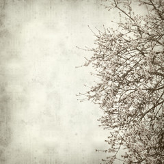 textured old paper background