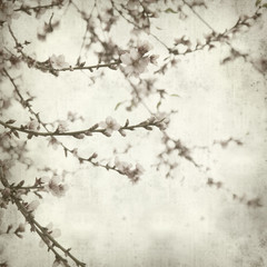 textured old paper background