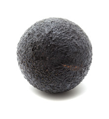 round dark skinned avocado pear