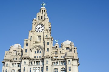 The Royal Liver Building on a sunny day, Liverpool, Merseyside, UK