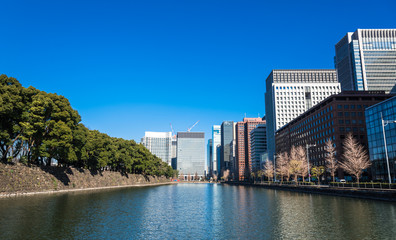 Obraz premium 東京 馬場先濠と丸の内の町並み