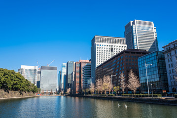 Fototapeta premium 東京 馬場先濠と丸の内の町並み