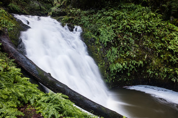 Fototapeta premium Waterfall Flowing into Shallow Pool