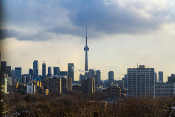 Fototapeta premium Toronto City Skyline