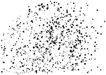 Grainy grunge abstract texture on a white background. Vector splatter of calligraphy ink in black on white background. Black ink blow explosion on white background. Paint spray, drop. Vector.