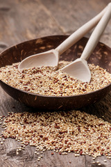 Quinoa