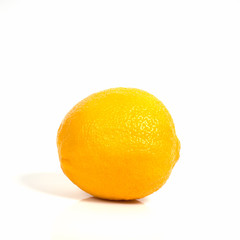 Lemon yellow on a white background