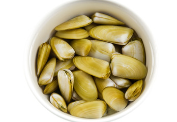 Pipis Clams