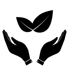 Leaf in hand icon