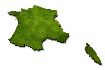 3D France Map Grass