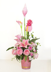Roses in a pot on a white background