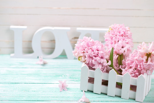 Pink hyacinths and wooden word love   on turquoise wooden backgr