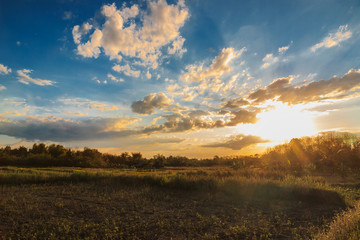 Naklejka na ściany i meble Sunshine in the field with beautiful light in countryside with clouds on blue sky