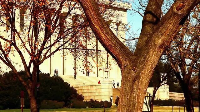 Static shot of the Lincoln Memorial with a tree in the foreground
