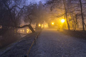 Foggy lake morning 