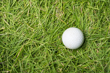 Old golf ball on green grass