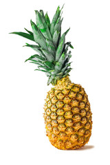 Ripe fresh pineapple fruit