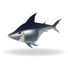 Dangerous looking cartoon shark
