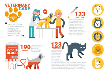 Veterinary care infographic