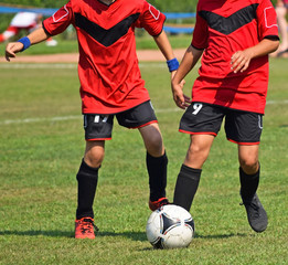 Fototapeta premium Young children are playing soccer