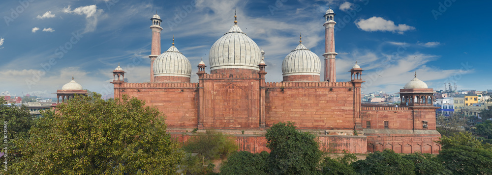 Wall mural Jama Masjid Mosque, Old Delhi, India.