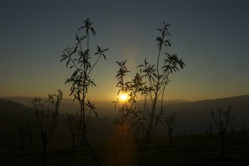 tramonto in collina