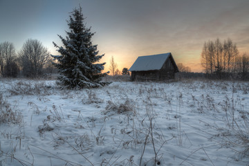 rural landscape frosty January morning.