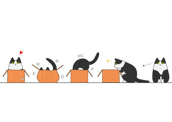 Cat going into a box