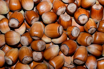 hazelnuts in the background