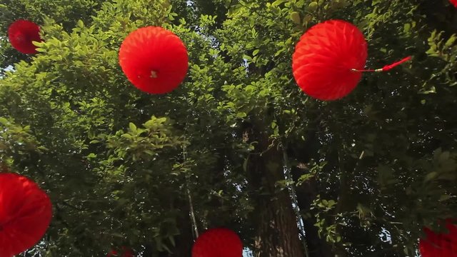 Traditional Chinese Red Lantern Hanging On Tree, swaying in the wind, celebrating Chinese New Year