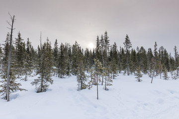 Snowy Mountain Range