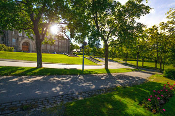 Norwegian University of Science and Technology - NTNU behind trees in Trondheim