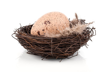 Naklejka na ściany i meble Easter egg in birds nest isolated on white background