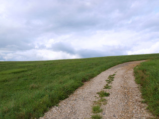 草原の道