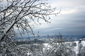 Winter landscape