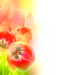 Abstract Design Flowers background  - artistic style