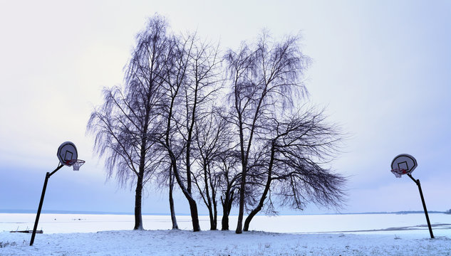 Krajobraz nad zamarzniętym jeziorem, koszykówka, drzewa. © Stanisław Błachowicz