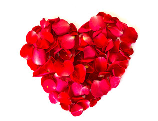 heart of red rose petals . valentine`s card with heart on the wh