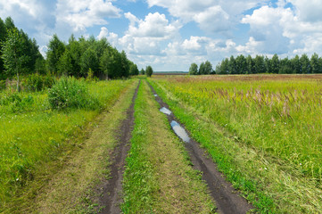 road in a field