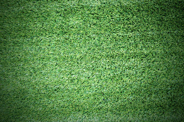 Obraz premium Green grass nature background texture
