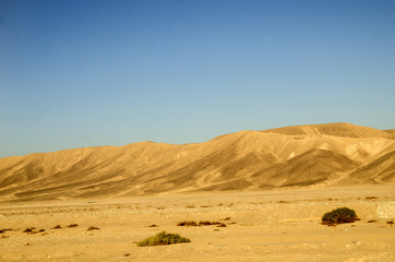 Fototapeta na wymiar Sahara desert sand dunes
