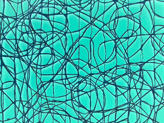 Random network abstract background.