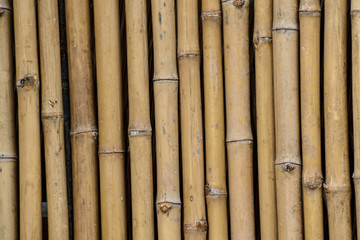 Bamboo wall background
