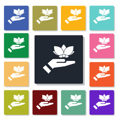 lotus icon