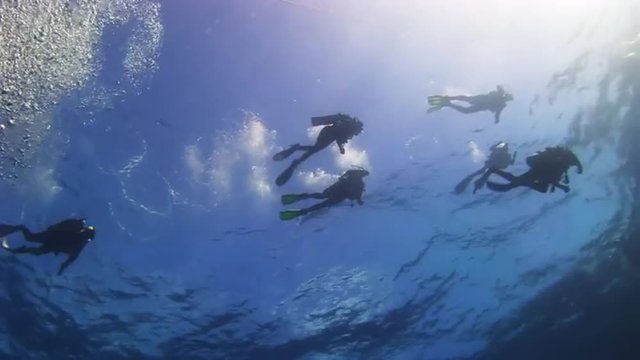 The group of divers on the sea surface. Amazing, beautiful underwater world Bahamas and the life of its inhabitants, creatures and diving, travels with them. 