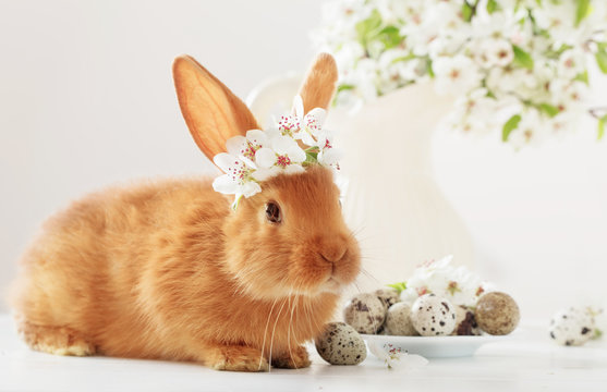 little rabbit with spring flowers and Easter eggs