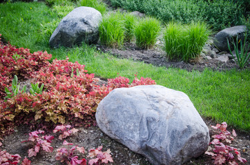 Decorative flower bed in a garden with rocks and plants, close-u