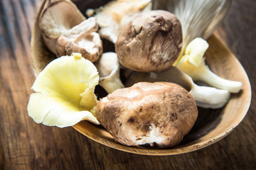 Wild forest mushrooms in rustic bowl